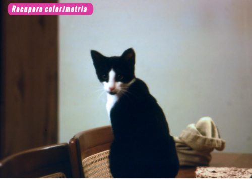 Digitalizzazione diapositive a Firenze, trattamento antipolvere, fotoritocco, recupero colorimetria