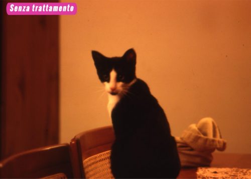 Digitalizzazione diapositive Firenze, trattamento antipolvere, fotoritocco, recupero colorimetria